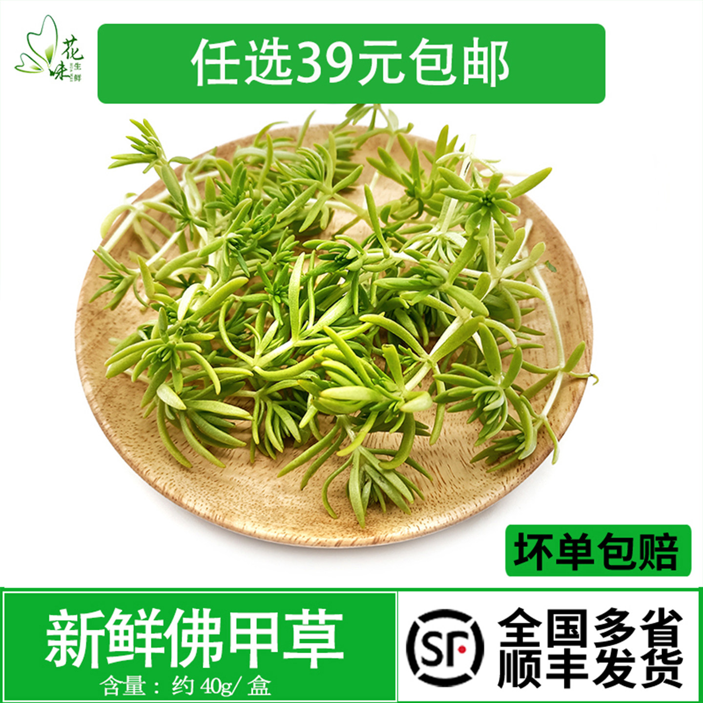 新鲜佛甲草 佛手指40朵 酒店西餐日料冷菜装饰花草餐饮摆盘点缀