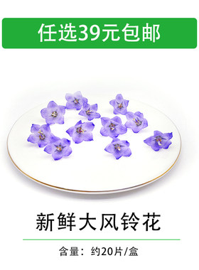 餐饮日料摆盘烘焙装饰点缀