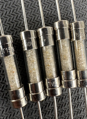 T15AL250V保险丝管5*20MM玻璃防爆灌沙BUSS S506慢熔延时带脚