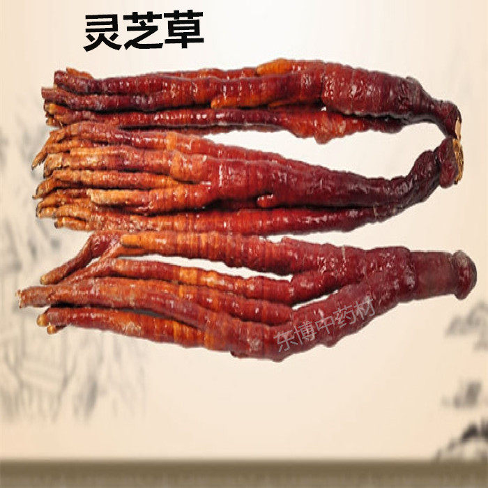 长白山东北泡酒野生藏佛手 整枝灵芝 椴木鹿角灵芝干货500克包邮