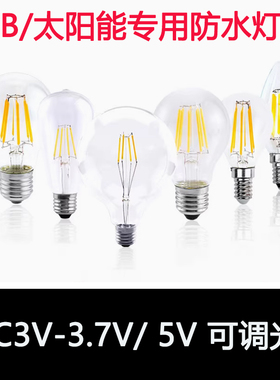 LED太阳能板直流DC3V灯泡暖黄光充电USB光源5V户外防水钨丝灯调光