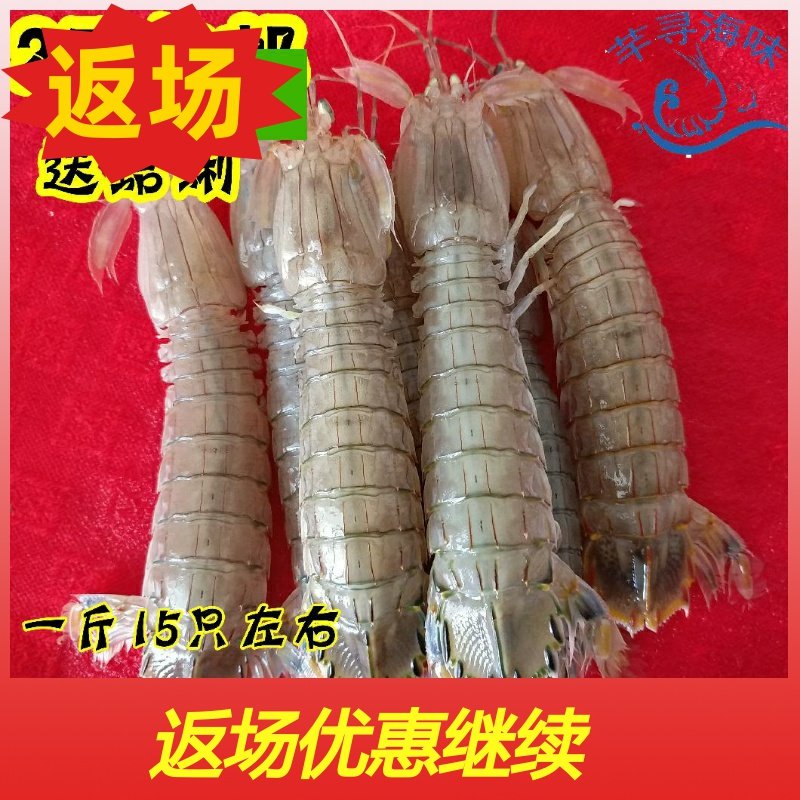 2斤新鲜海鲜鲜活皮皮虾琵琶虾富贵虾爬虾婆婆虾爬子螳螂虾濑尿虾|ruв категории водной мясо/свежие фрукты и овощи/еда, морепродукты/водные продукты/изделия, креветки, жить креветки - от Buy2taobao.com для оказания профессиональной услуги покупки агента Taobao