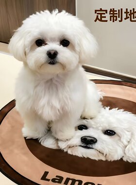 宠物图片定制牛奶绒地毯可水洗