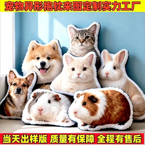 宠物纪念双面毛绒抱枕定制可印