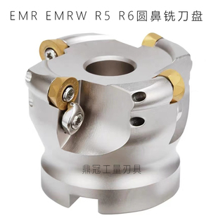 EMR铣刀盘 125 EMRW 圆鼻数控刀盘 100 EMR