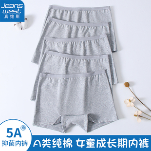 真维斯纯棉女童平角内裤浅灰色安全打底裤学生中大童女孩四角短裤