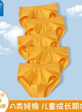 真维斯儿童三角内裤男生黄色纯棉抗菌中大童小男孩底裤金色短裤头
