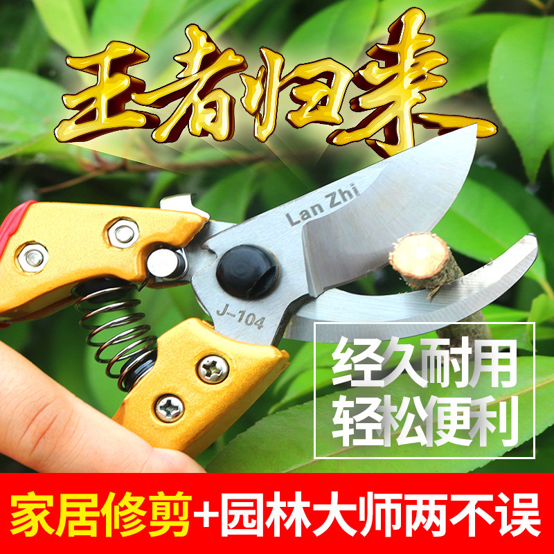 修枝剪园艺工具果树奥迈克图片