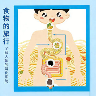 科学实验diy食物的旅行人体消化系统模型科技小制作儿童手工套装