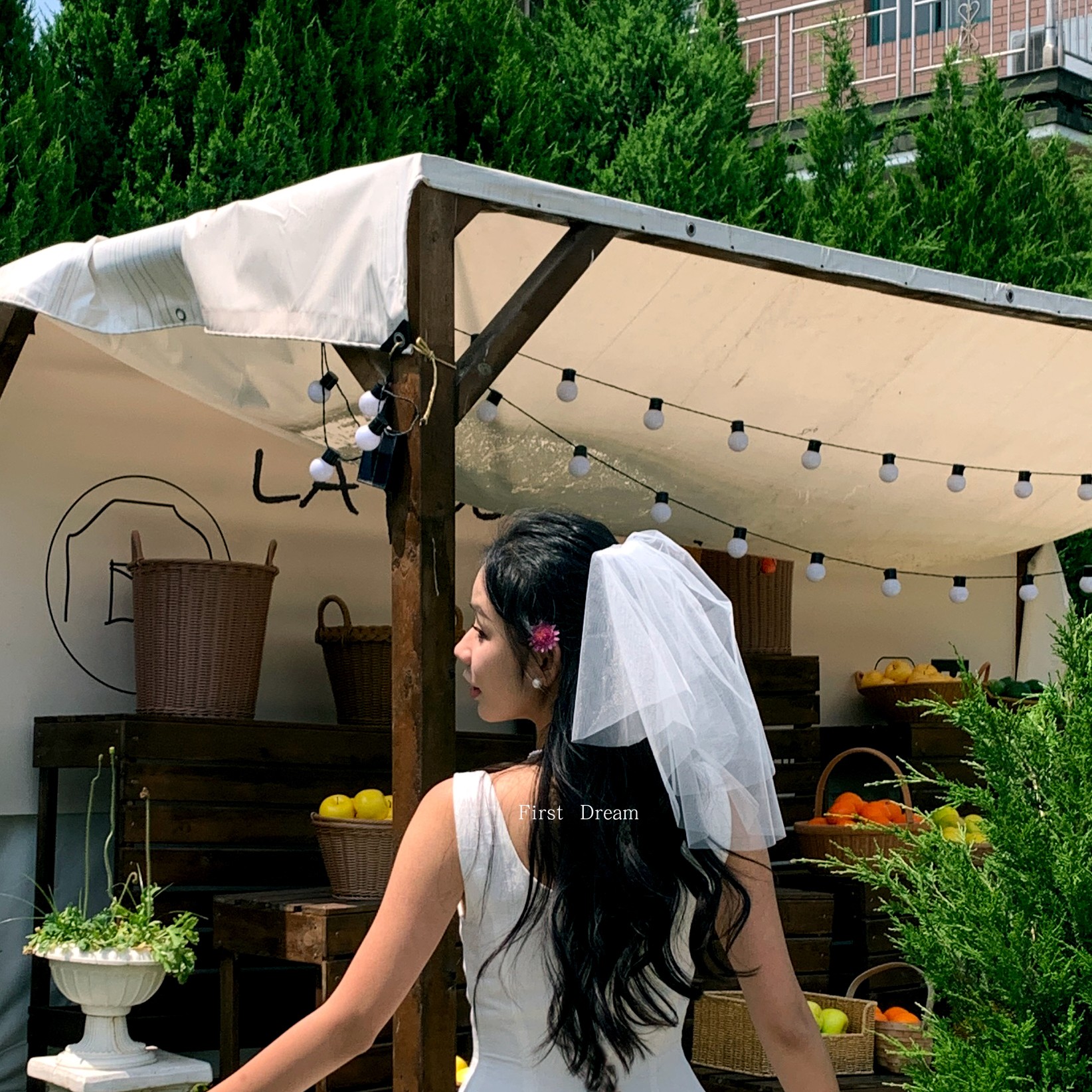 气质短款领证硬纱2024FirstDream