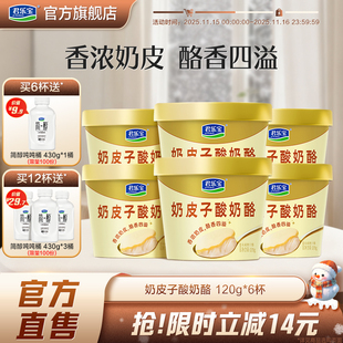 6杯 君乐宝旗舰店奶皮子酸奶酪120g 上市 12杯 新品