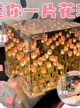 送女生礼物郁金香花海小夜灯生日