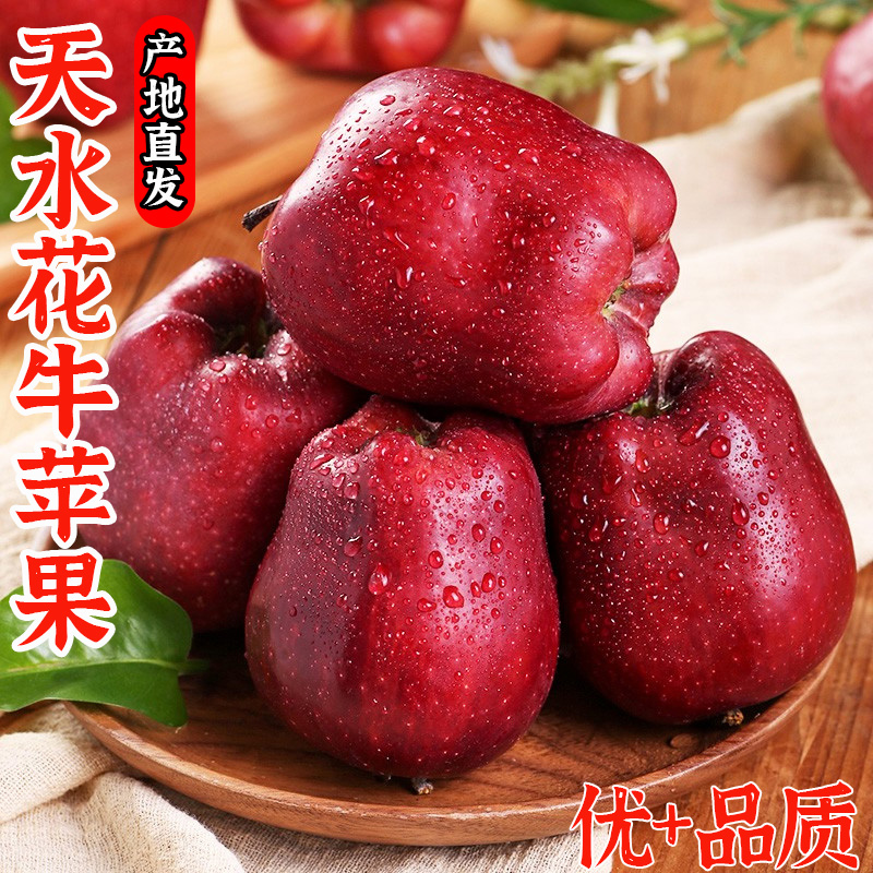 纯香果花牛苹果新鲜当季甜