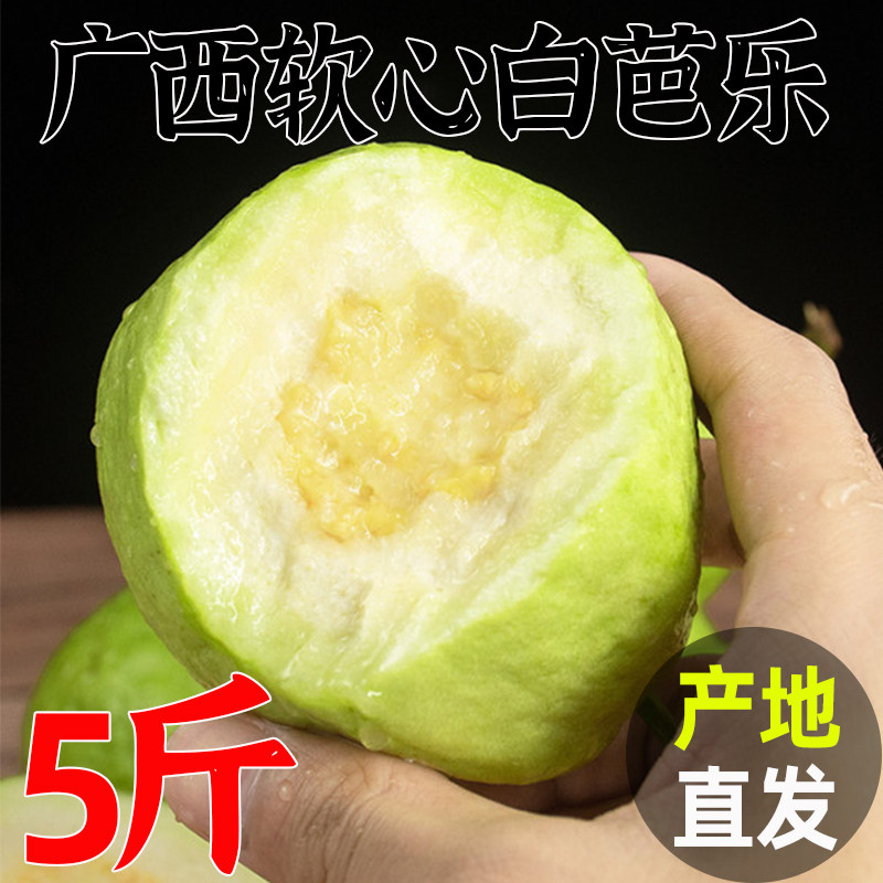 广西白心芭乐番石榴水果9斤新鲜当季孕妇珍珠白肉土巴乐整箱包邮0,水产肉类/新鲜蔬果/熟食,番石榴/芭乐,淘宝优惠券,粉丝福利购,淘宝优惠卷