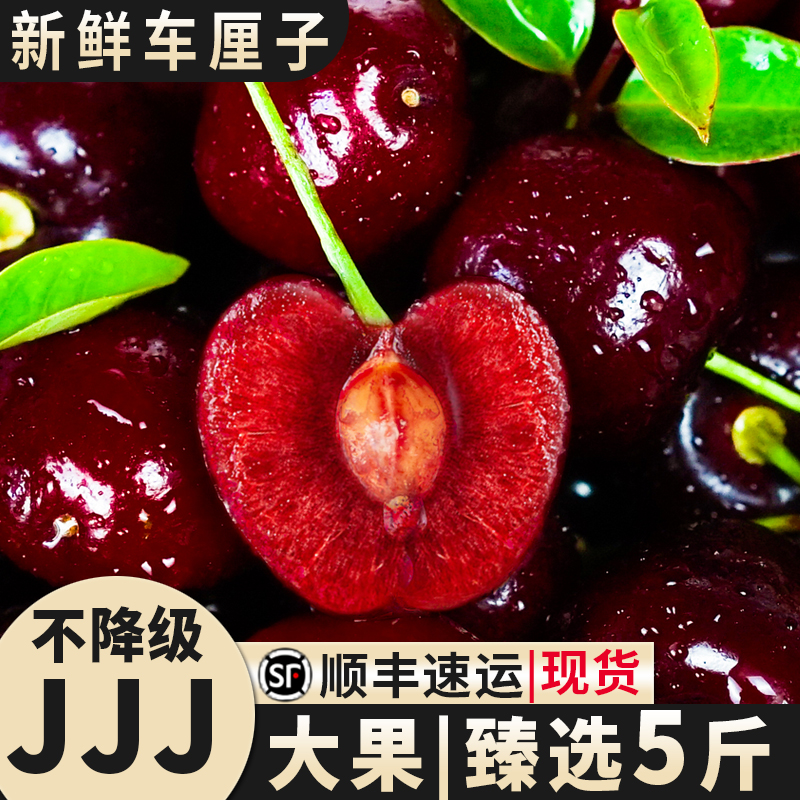 新鲜进口车厘子精选智利JJJ级水果大樱桃大果整箱应当季厘子包邮5