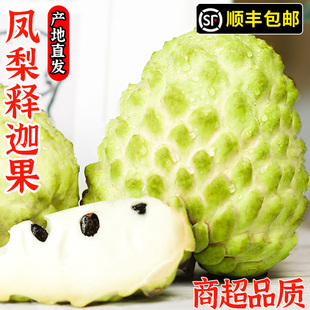 广西释迦果新鲜水果甜番荔枝佛头果摩尼果5斤果当季整箱顺丰包邮0