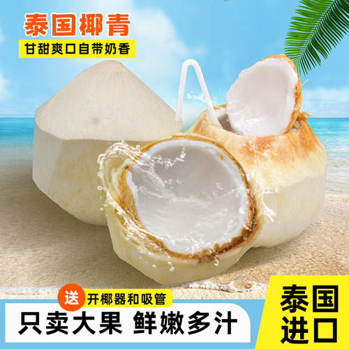 【天猫好物推荐】泰国香水椰青