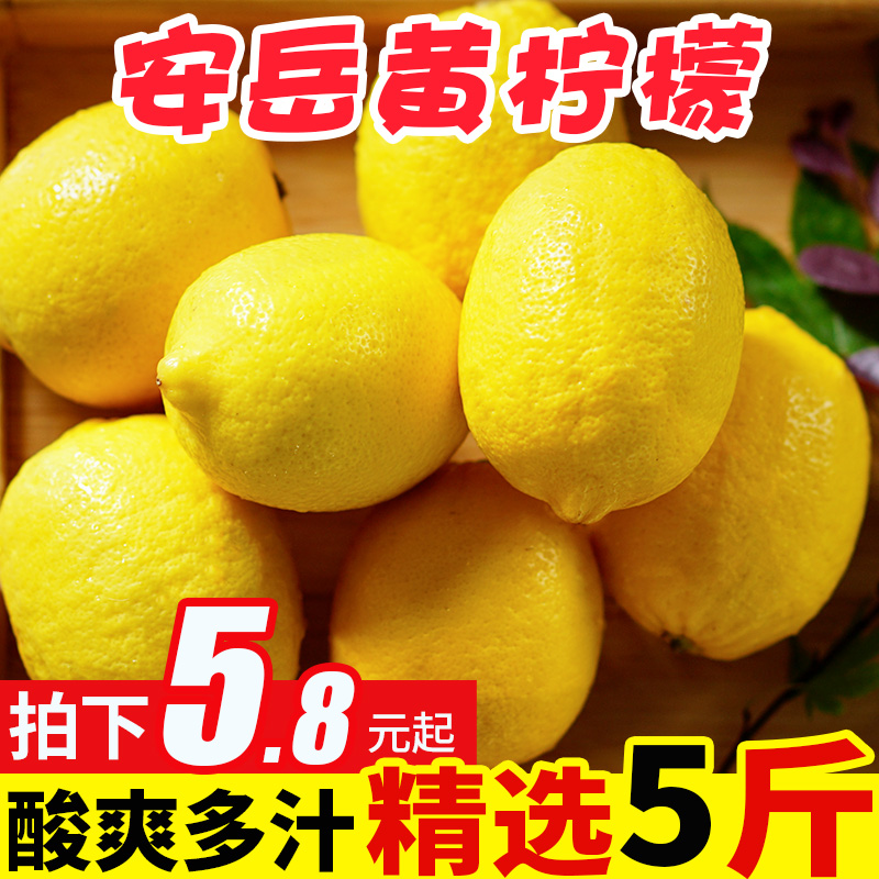 安岳柠檬新鲜皮薄一级5斤黄柠檬当季青香水柠檬奶茶店专用6包邮10