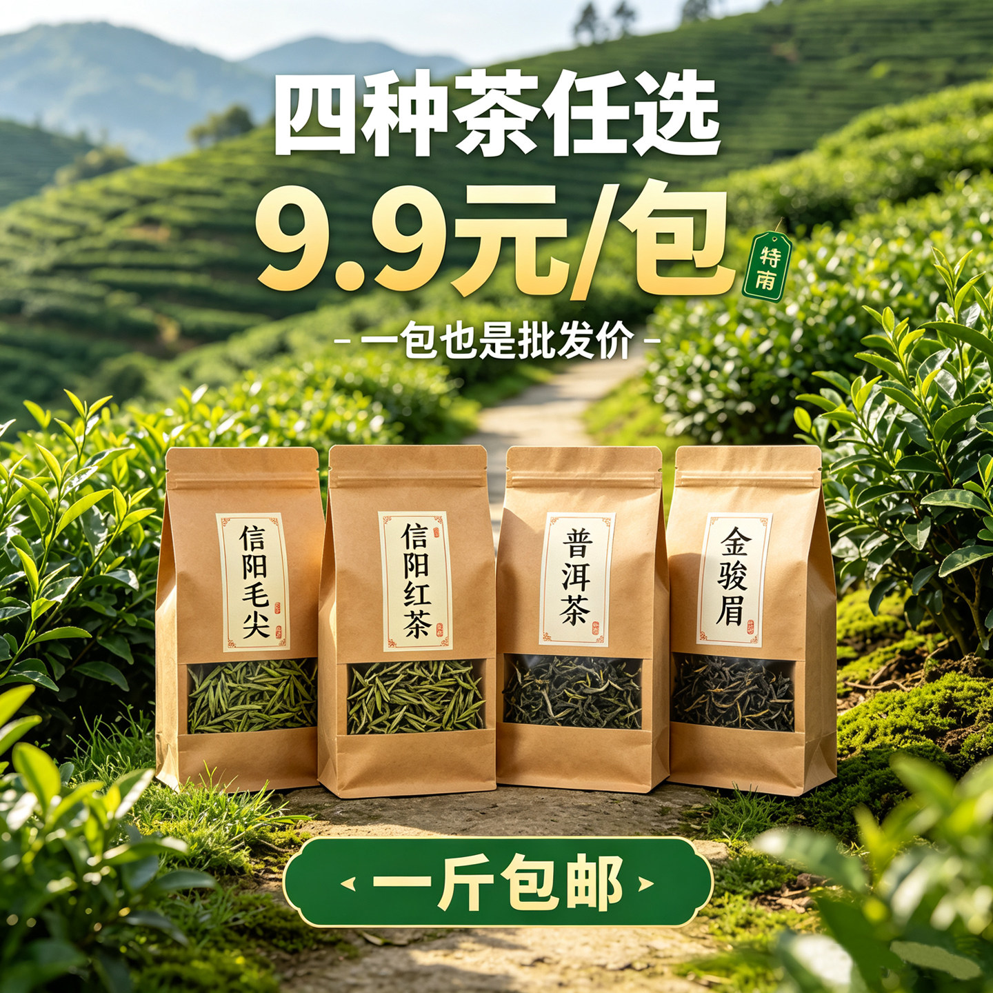 2026新茶纯手工炒茶茶叶明前茶信阳毛尖红茶绿茶普洱茶金骏眉批发