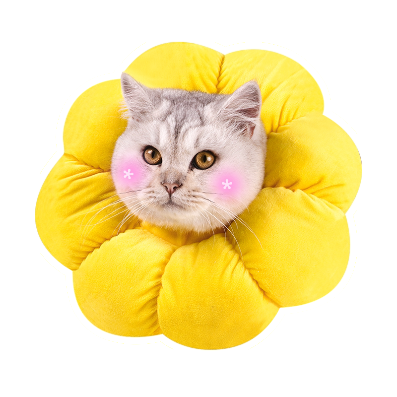 伊丽莎白圈猫咪防舔可爱头耻辱绝育软项圈棉布伊莉莎白宠物头套