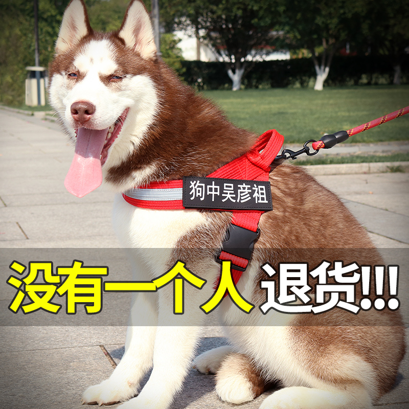 宠物中大型犬项圈金毛用品胸背带