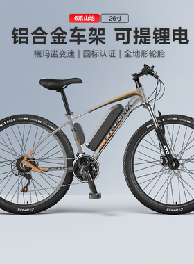 凤凰助力电动自行车国标锂电池电动车男女士小型电单车代步电瓶车