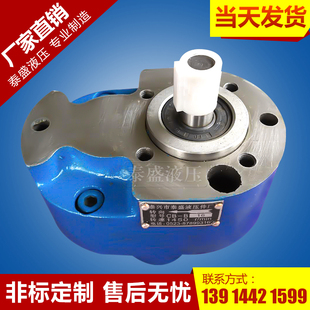 B100F B40F液压齿轮油泵 B32F 供应低压齿轮润滑油泵CB