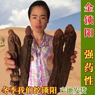 甘肃特产金锁阳 新鲜干货锁阳搭配肉苁蓉泡酒 瓜州三九锁阳切片