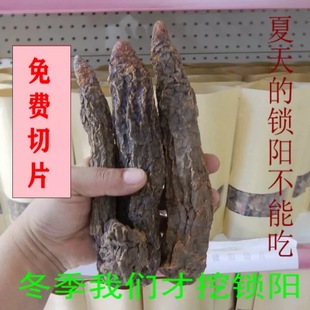 甘肃瓜州锁阳城 锁阳产地直发四根一斤大货锁阳