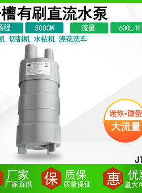 24V直流潜水泵扬程5米 14L/M 高扬程泵 微型泵设备泵直式泵JT500