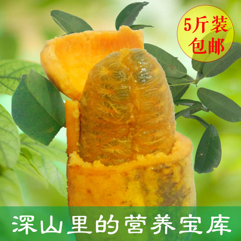 【5斤柿子味野果九月黄】野生八月瓜纯甜山货拿腾包牛卵坨牛哈卵