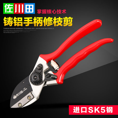 台湾进口 修枝剪果枝果树省力园艺粗枝剪园林工具