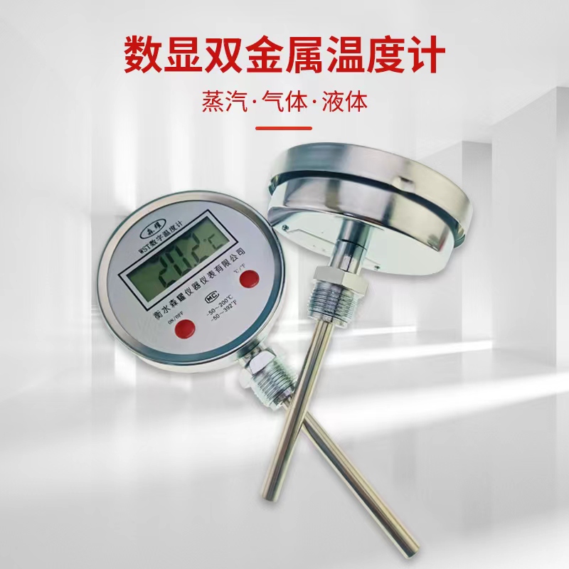 电子数字双金属反应釜测温仪