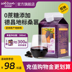 阳光味道桑椹汁500mL*6家庭聚会装 大凉山特产德昌桑葚100%桑果汁
