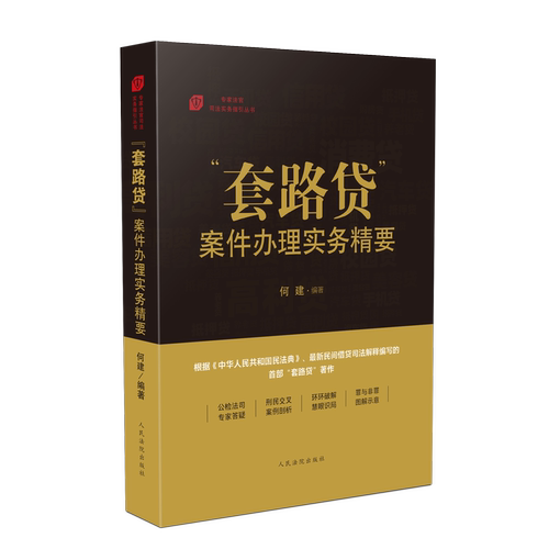 2020新书 套路贷案件办理实务精要 何建 根据新民法典民间借贷司法解释编 民事纠纷民间借贷房屋买卖案例分析 刑事犯罪法律书籍