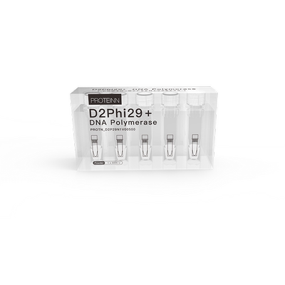 D2Phi29+ DNA polymerase