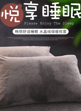 枕套冬季加厚一对装枕头芯套成人48x74cm水晶牛奶绒40x60纯色a类