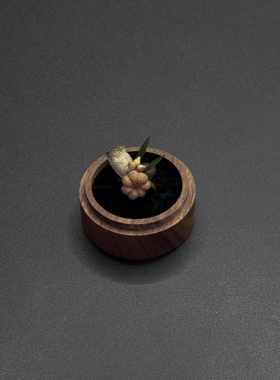 【小桔瓜】进口森系植物干果实戒指