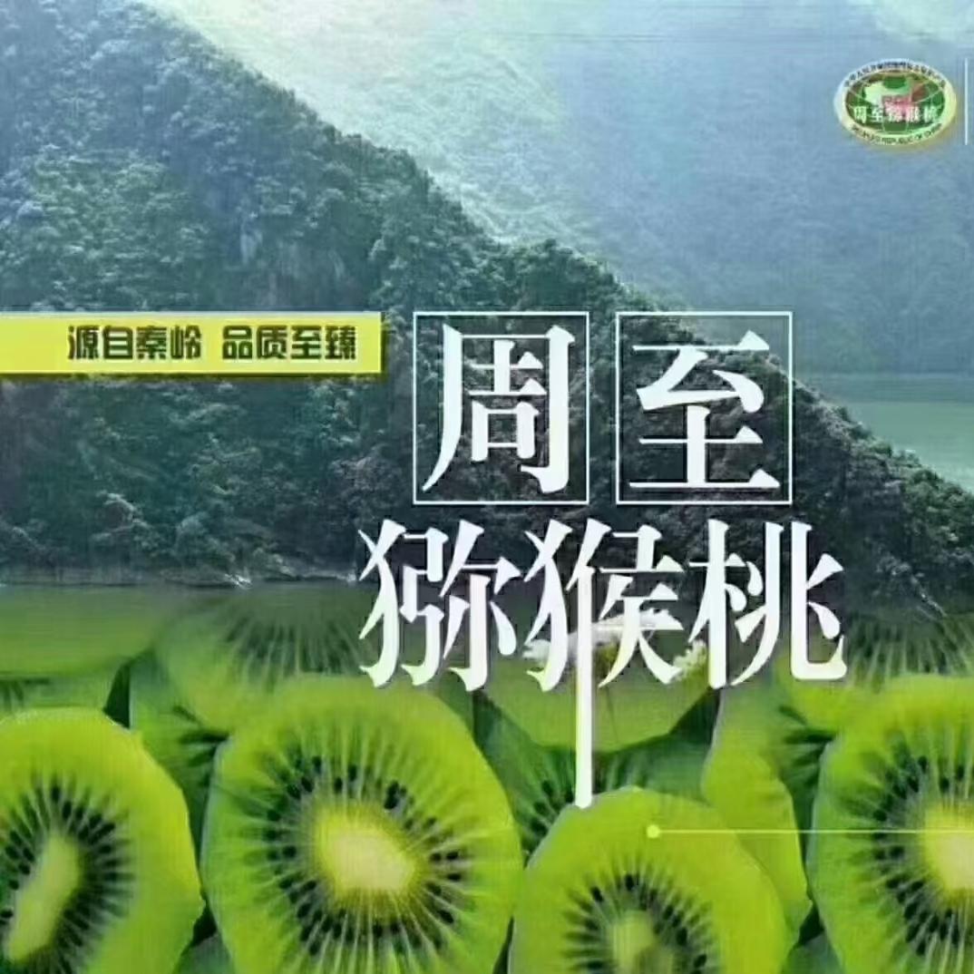 陕西翠香猕猴桃新鲜现摘绿心时令水果奇异果(顺丰包邮)