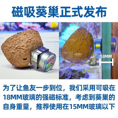 新品皇海葵巢磁吸奶嘴杯防跑珊瑚罐子家屋海鱼缸造景装饰海葵窝固