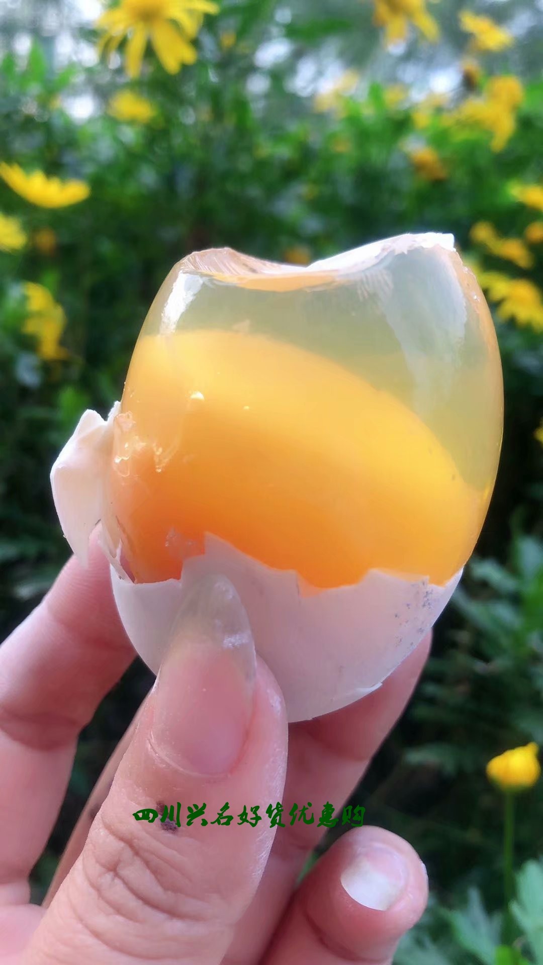 四川特产传统小吃乐山犍为眉山特产皮蛋灰包蛋10个包邮鸭蛋