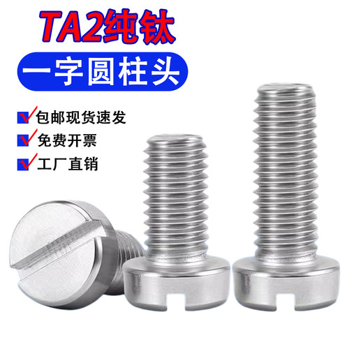TA2一字开槽圆柱头螺丝螺栓DIN84