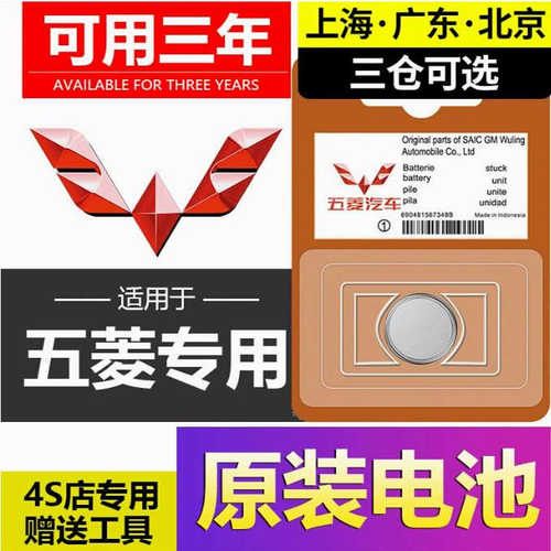 适用于五菱宏光汽车钥匙原装电池