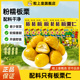 栗子追剧露营零食香甜软糯甘栗仁 即食小包装 粒上皇_板栗仁45g