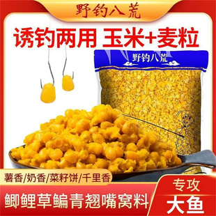 玉米麦粒400g钓鱼打窝料五谷杂粮垂钓鲫鲤草鳊黑鱼钓饵