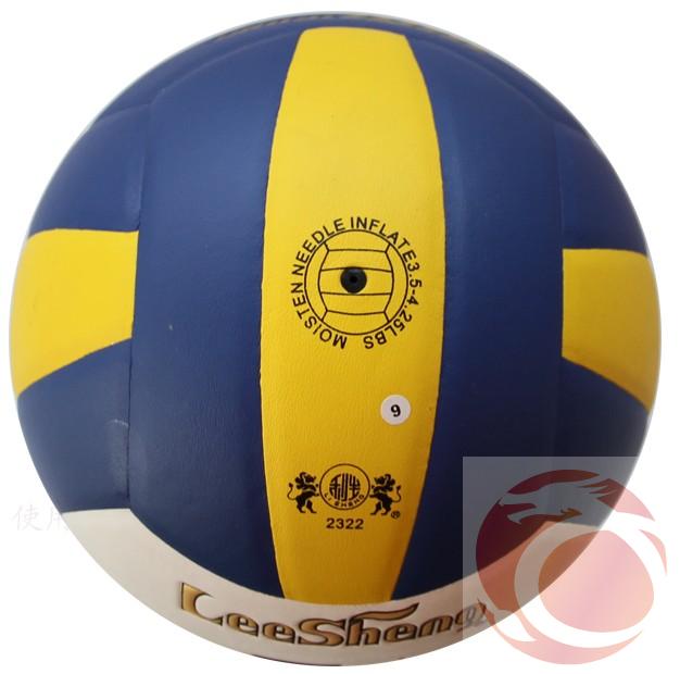 Ballon de volley - Ref 2013342 Image 3