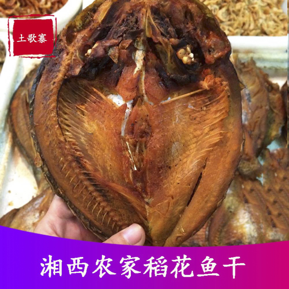 正宗稻花鱼鲤鱼田里鱼
