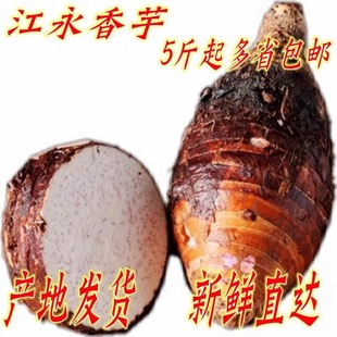 新鲜现挖江永香芋荔浦芋富硒细嫩香芋粉香糯5斤包邮