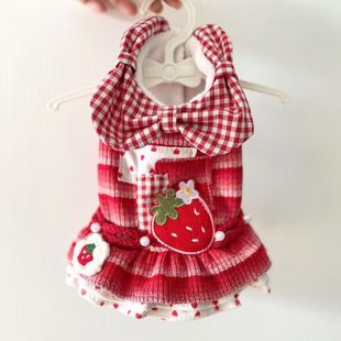 宠物猫咪狗狗秋冬新款 薄绒草莓连衣裙马尔济斯约克夏比熊西施