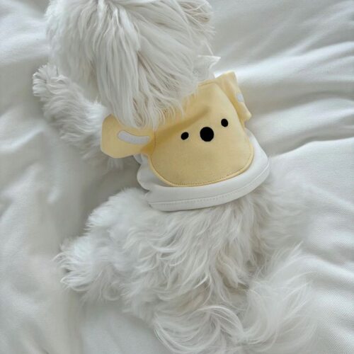 韩国宠物ins吊带狗狗衣服可爱小熊宠物猫比熊马尔济斯猫咪背心